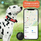 Collar Inteligente Con Gps Para Mascotas