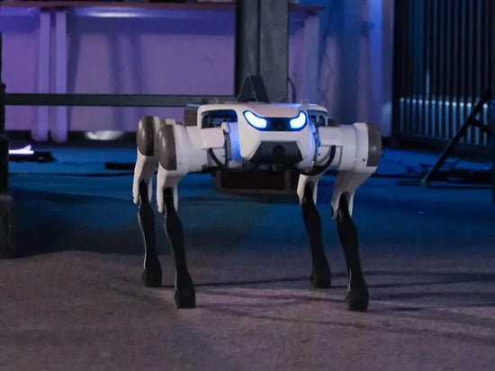 TECNOLOGIA AVANZADA         Robot "Perro biónico inteligente para Protección" DEEPRobotics Jueying Lite3